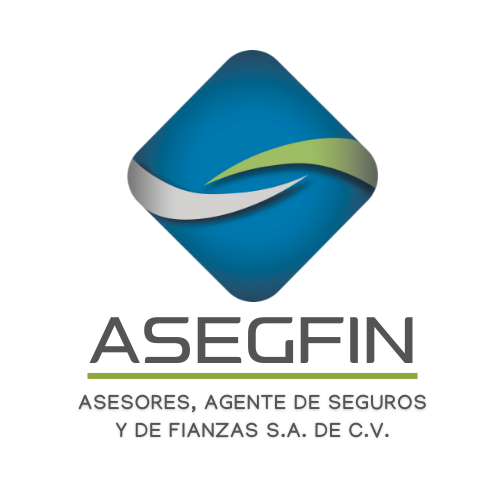 ASEGFIN